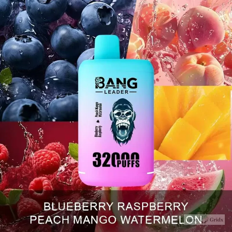 Bangleader 32000 32K Züge 2-in-1 Einweg-Vape
