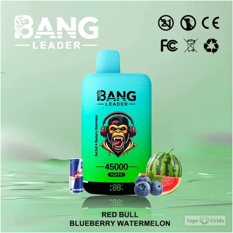 Bangleader 45000 45K Züge 2-in-1 Einweg-Vape